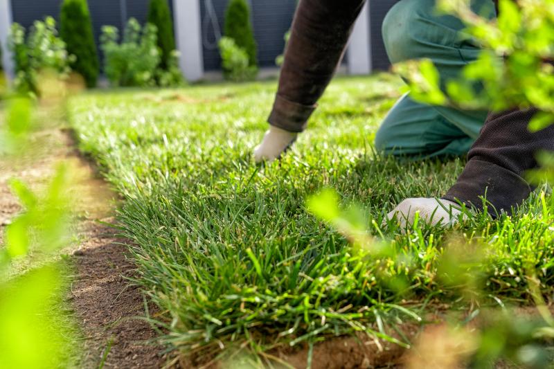 Pourquoi faire appel &agrave; un jardinier paysagiste pour vos projets ext&eacute;rieurs ?