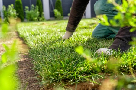 Pourquoi faire appel &agrave; un jardinier paysagiste pour vos projets ext&eacute;rieurs ?